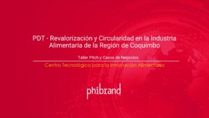 Taller pitch efectivo pymes participantes en la Jornada de Consultas para el Concurso "Innovación Circular" organizado por CETA Alimentos como parte del programa de difusión tecnológica (PDT): "Revalorización de desechos en la industria alimentaria de la región de Coquimbo", de Corfo y financiada por el Gobierno Regional.